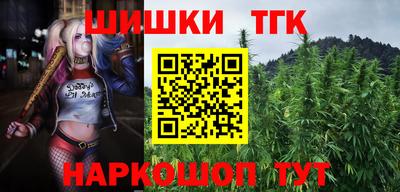 индика Обнинск