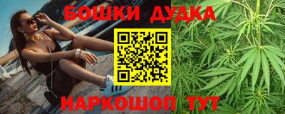 индика Обнинск