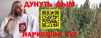 индика Обнинск