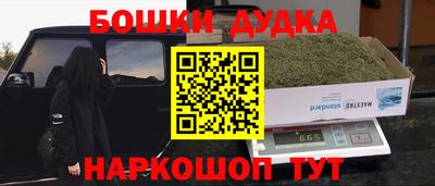 индика Обнинск