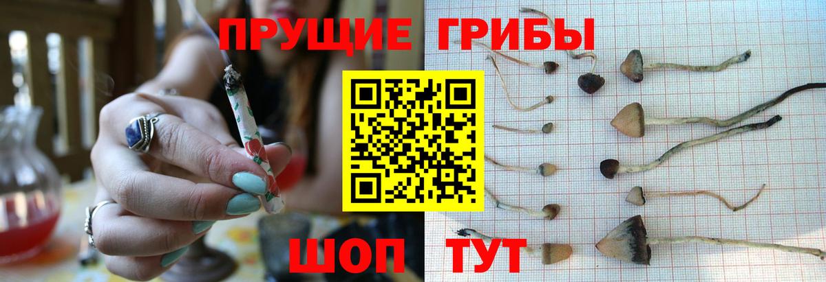 Псилоцибиновые грибы MAGIC MUSHROOMS Ставрополь