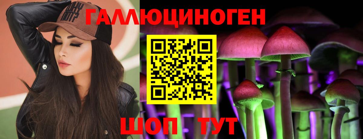 Галлюциногенные грибы Psilocybe  где купить   Ставрополь  Вход с VPN 